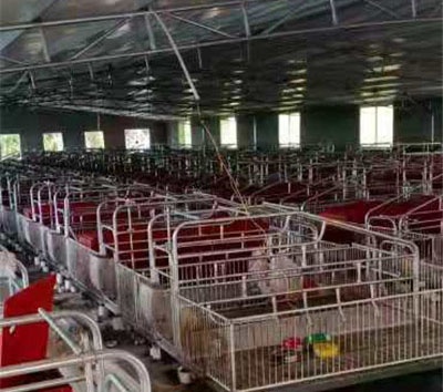 養豬設備